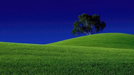 Lush green hills under a starlit sky.