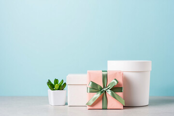 Pastel Gift Arrangement with Succulent Plant Against a Soft Blue Background for Celebrations and Minimalist Design