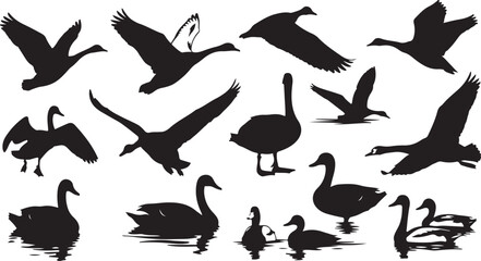 Collection of Black Silhouettes of Geese and Ducks in Various Poses
