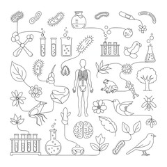 Fototapeta premium Biodiversity and Human Body A Connected Ecosystem Illustration