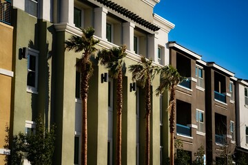 Modern residential apartment buildings with palm trees under clear blue sky representing urban living and contemporary architecture