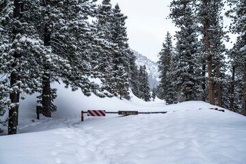 Snow-covered forest road blocked by a barrier surrounded by tall pine trees in a serene winter landscape