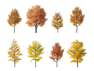 Autumn tree collection cutout set isolated png on a transparent background premium nature cut out