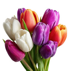 Vibrant bouquet of colorful tulips, a stunning symbol of spring and new beginnings, isolated on a transparent background
