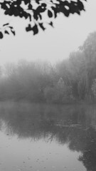 Fototapeta premium Misty lake scene with reflections of trees and foliage in black and white