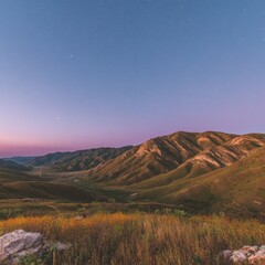 A deep blue sky with a few stars shining and trees standing in the background creates a beautiful night scene