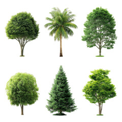 Fototapeta premium Vibrant green trees collection for landscaping and design projects, ready for use, isolated on a transparent background