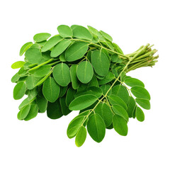 Fototapeta premium Vibrant fresh moringa leaves bundle, a natural superfood for healthy living and culinary inspiration, isolated on a transparent background