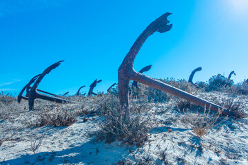 Fototapeta premium Cimetière des ancres à Tavira au Portugal. Ancres rouillées posées sur une plage de sable.