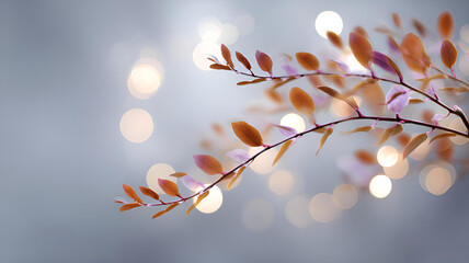 autumn leaves in the sun