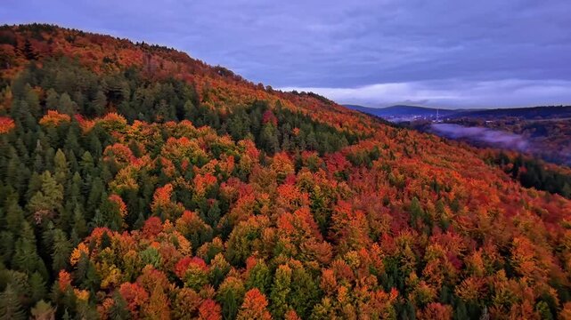 autumn landscape with vibrant colors, dawn scene capturing fiery autumn leaves over rolling hills