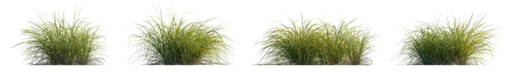 Green Grass collection cutout set isolated png on a transparent background premium nature asset