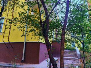 Fototapete bei efototapeten.de bestellen   