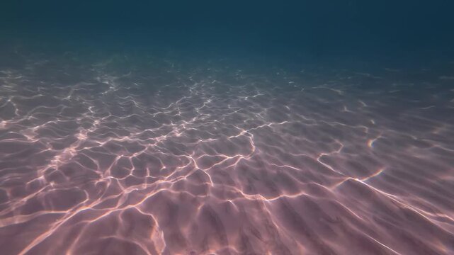 tranquil marine environment at dusk featuring subtle pink reflections and soothing flowing movements