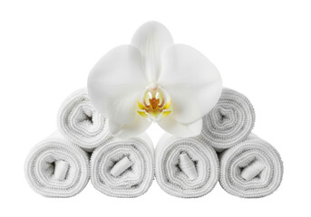 White orchid and rolled towels on transparent background
