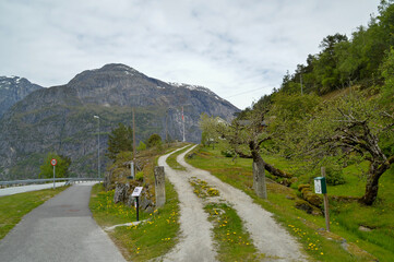 weg, auffahrt, waldweg, anlegestelle, architektur, 