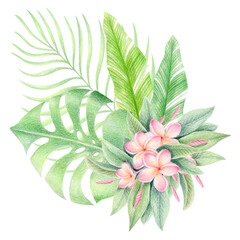 Watercolor and colored pencil isolated illustration of tropical leaves and flowers: plumeria, monstera, palm, banana leaves. Botanical summer exotic composition for packaging, cards or textile prints.