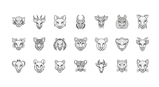 Set of african animal heads illustration in line art style, lion, leopard, cheetah vector for logo design, safari africa concept between 70 and 130 chars