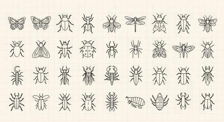 Variety of Insect and Bug Vector Illustration with Butterflies, Beetles, Spiders, and More for Biology, Nature, and Educational Designs