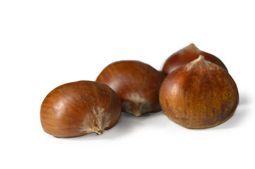 Edible Chestnuts on Clean White Background Autumn