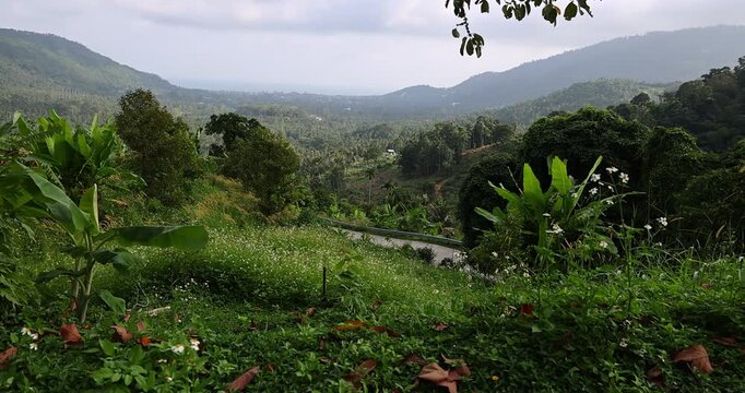 Tropical mountain landscape with lush green vegetation, banana trees, and a winding road leading through the valley under a cloudy sky. The scene conveys a feeling of peace, natural beauty, and exotic