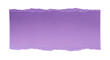 Torn Purple Paper, Edge with Rough Texture in Light Purple Hue, cutout, PNG isolated on white or transparent background