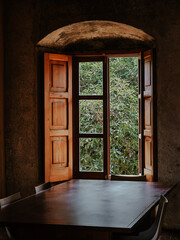 Rustic Window's Glimpse: Sunlight filters through an antique, arched window, framing the vibrant green foliage outside. A wooden table sits below.