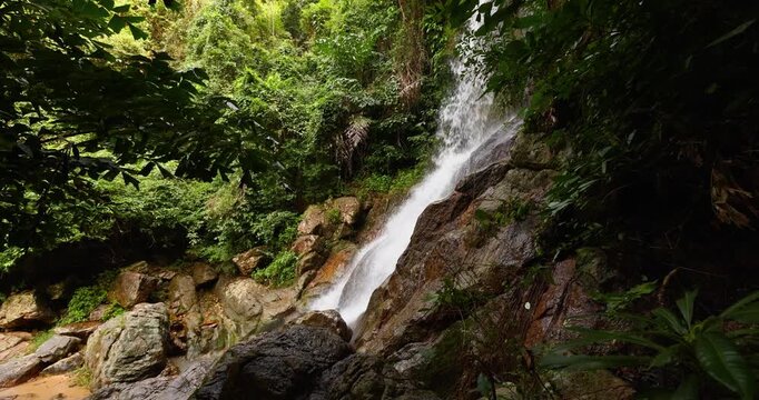 Slow motion footage of a tropical waterfall cascading over mossy rocks surrounded by dense jungle vegetation. The gentle movement of water and leaves creates a serene and immersive feeling of natural 