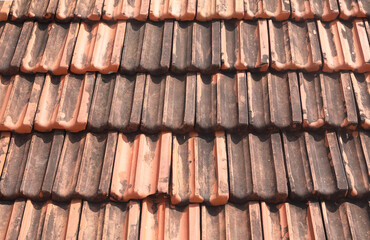 Indian traditional clay roof tiles