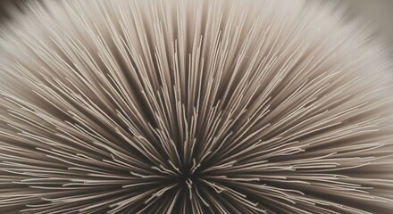 Obraz premium Extreme Close-up Of Mushroom Gills Texture macro