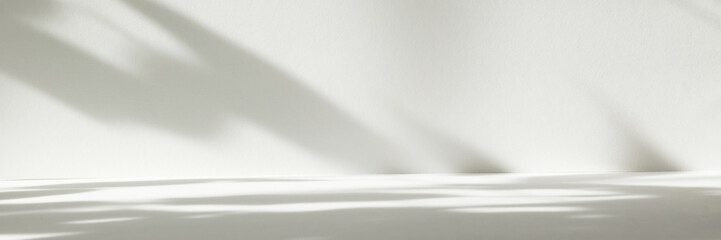 Abstract white color studio background for product presentation. Empty room with shadows of window...