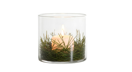 Burning candle in glass holder with fir branches  isolated on transparent background