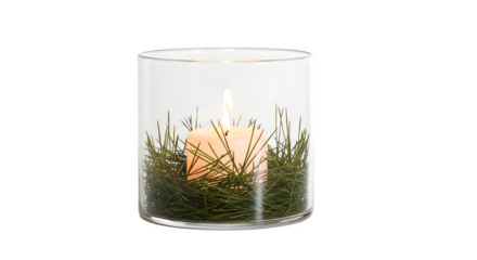 Burning candle in glass holder with fir branches  isolated on transparent background