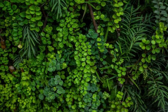 Lush green foliage background creates calming natural pattern nature - Powered by Adobe