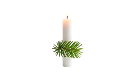 Candle with fir branch for decoration concept isolated on transparent background
