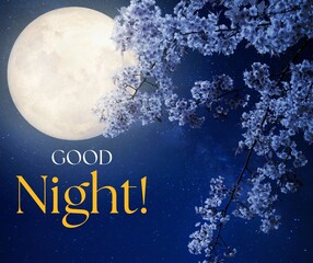 Blue Illustrated Moon Good Night Facebook Post - 1