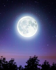 Blue and White International Moon Day Instagram Post 