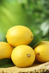 Fresh lemons with green leaves on table outdoors, closeup