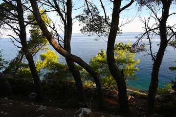 Fototapete bei efototapeten.de bestellen   