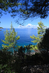 Fototapete bei efototapeten.de bestellen   