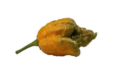 Pepper X chili peppers, known as the hottest chili in the world, shown in close-up with their wrinkled texture and green-orange color, isolated on a white background.