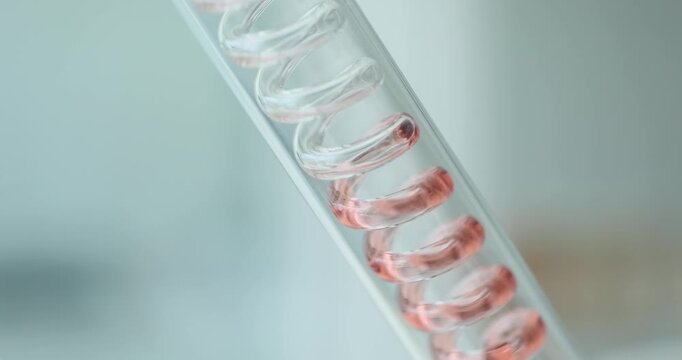 Red liquid moves up inside glass condenser in chemical laboratory. Color water flow raises through narrow tube of lab spiral capacitor