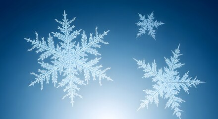 Three Intricate Snowflakes on Blue Gradient Background