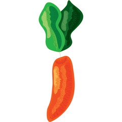 Isolated illustration of a brown carrot with green leaves on a transparent background