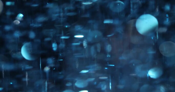 Shimmering blue particles create breathtaking spectacle. Luxurious holiday glitter and sequins enhance sense of festivity and excitement