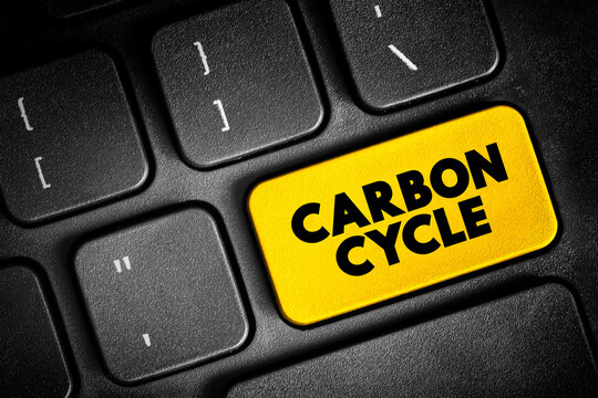 Carbon Cycle - process in which carbon atoms continually travel from the atmosphere to the Earth and then back into the atmosphere, text button on keyboard, concept background