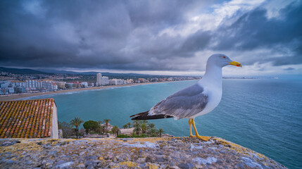 Panoramic View from the Castle, Peñíscola, The Most Beautiful Villages in Spain, Costa de Azahar, Bajo Maestrazgo, Castellón, Comunidad Valenciana, Spain, Europe
