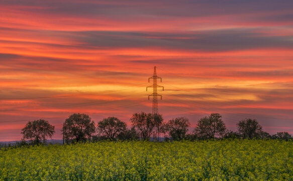 High-voltage tower at sunset above a blooming field. Vibrant sky with warm colors and silhouetted trees.