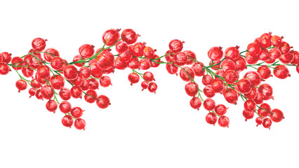 Red currant. Watercolor summer seamless border with red currants isolated on white. Botanical berry repeatable design for packaging, textile, invitations, menu, cookbook, kitchen and seasonal decor