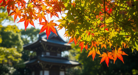 japanese temple in autumn